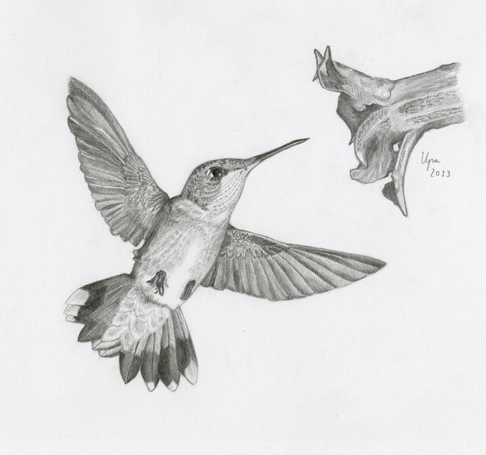 Hummer