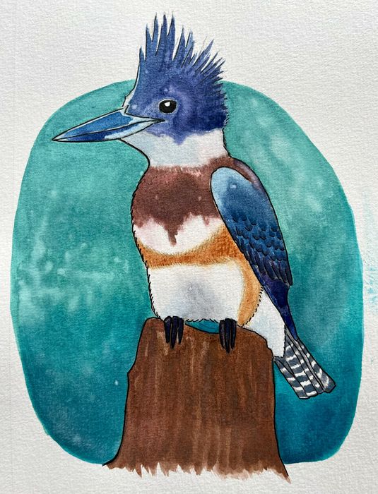 Kingfisher