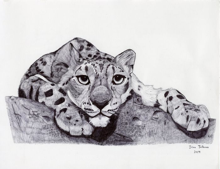 Nanga