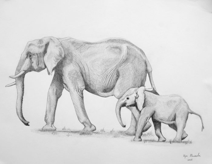 Side By Side