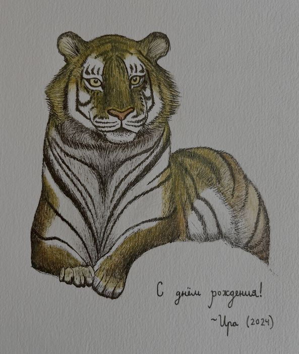 Tigris