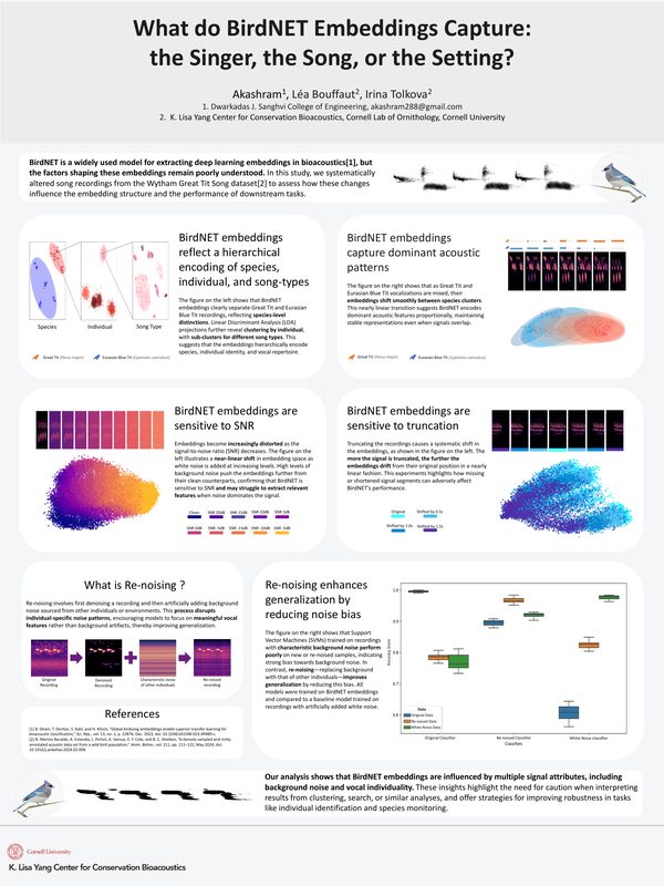 Poster: What do BirdNET embeddings capture: The singer, the song, or the setting?