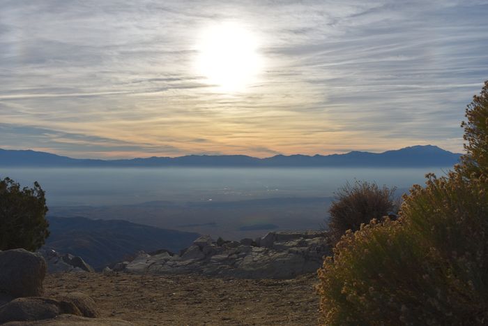 Joshua Tree National Park
