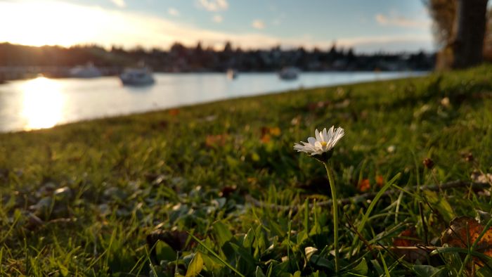 Montlake