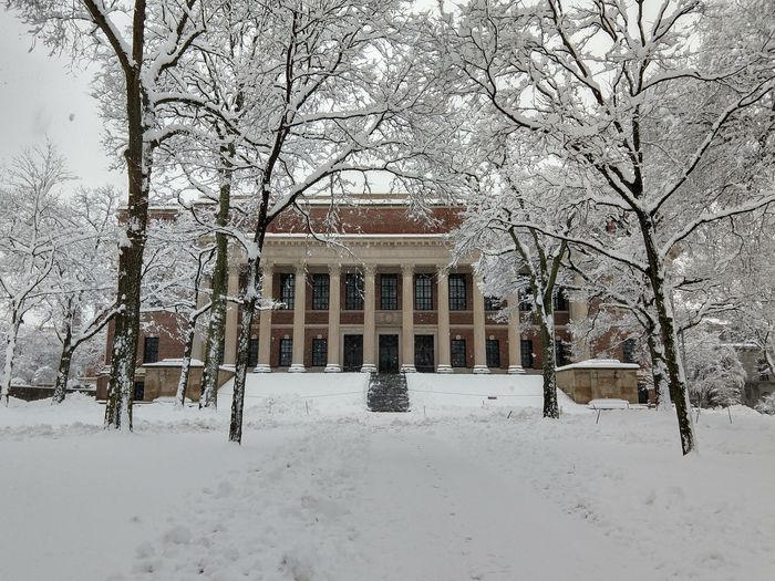 Widener Library